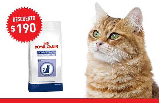 Imagen promoción Gatos Castrados-Weight Control