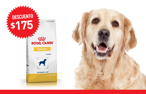 Imagen promoción Cardiac