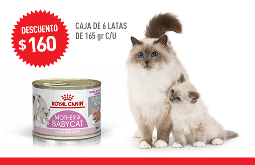 Imagen promoción Mother & Babycat Húmedo