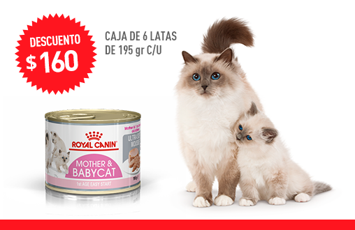 Imagen promoción Mother & Babycat Húmedo