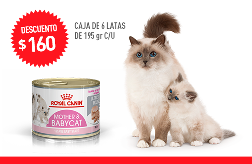 Imagen promoción Mother &amp; Babycat Húmedo