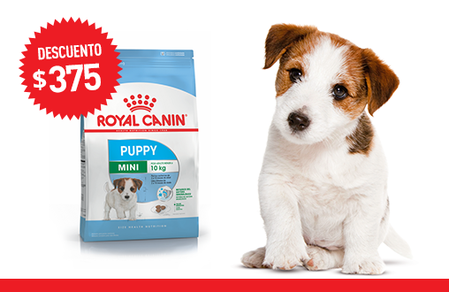 Imagen promoción Mini Puppy