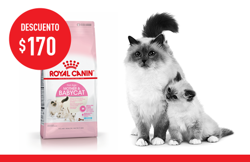 Imagen promoción Mother & Babycat