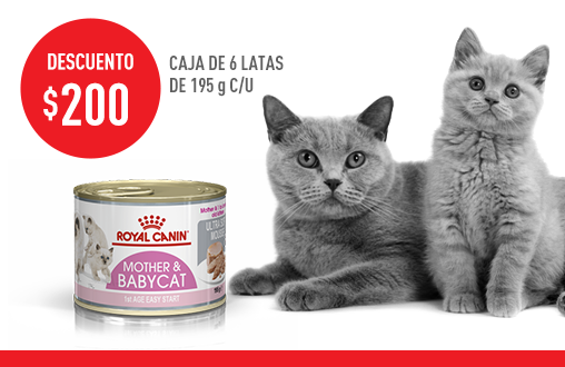 Imagen promoción Mother &amp; Babycat Húmedo