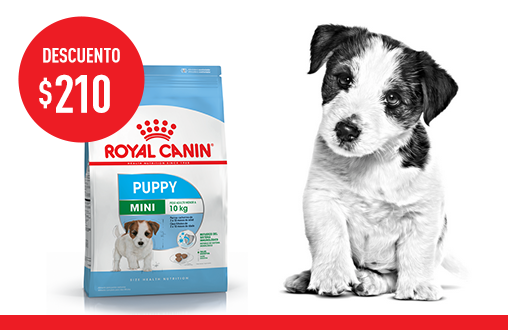 Imagen promoción Mini Puppy