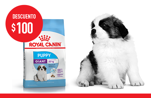 Imagen promoción Giant Puppy