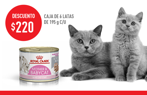 Imagen promoción Mother & Babycat Húmedo