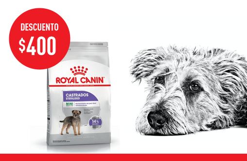 Imagen promoción Castrados Mini "COPIA"