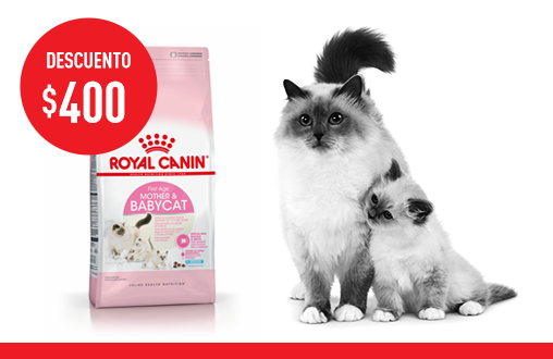 Imagen promoción Mother & Babycat