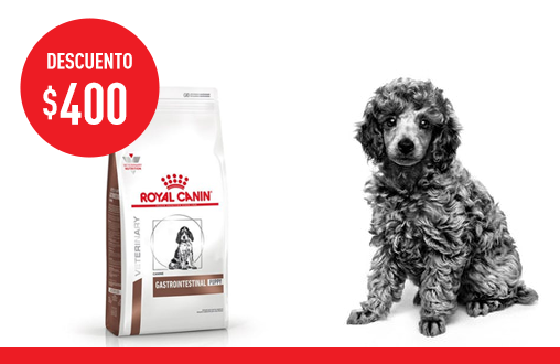 Imagen promoción Gastrointestinal Puppy Canine
