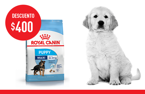 Imagen promoción Maxi Puppy
