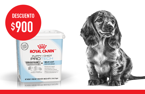 Imagen promoción Puppy Protech