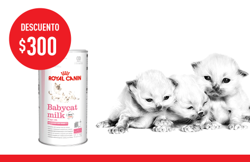 Imagen promoción Babycat Milk