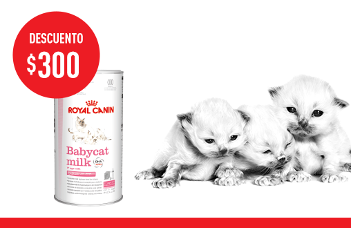 Cat milk royal canin sale