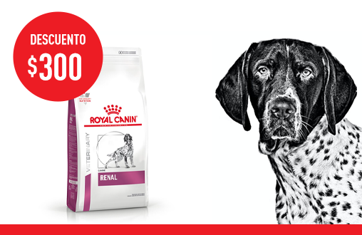 Imagen promoción Renal Canine
