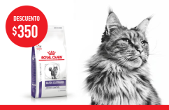 Imagen promoción Gatos Castrados-Weight Control