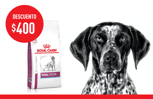 Imagen promoción Renal Special Canine