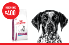 Imagen promoción Renal Special Canine