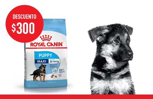 Imagen promoción Maxi Puppy