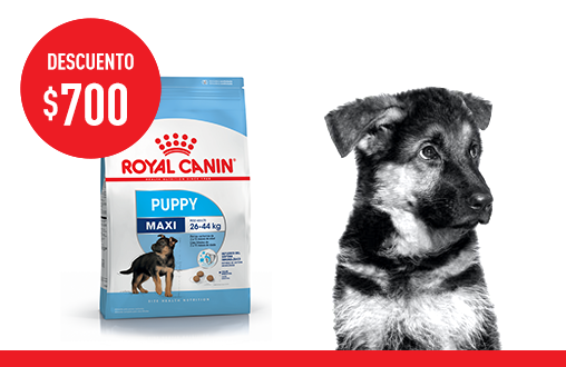 Imagen promoción Maxi Puppy