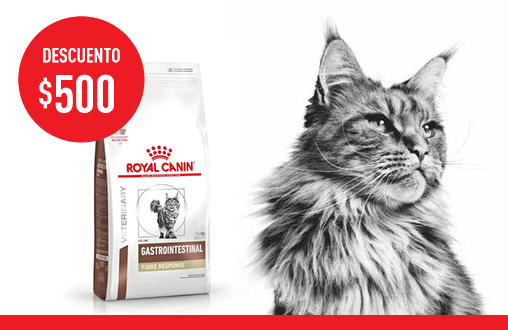 Imagen promoción Fibre Response Feline