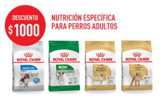 Imagen promoción Bienvenido a la adultez