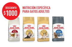 Imagen promoción Bienvenido a la adultez