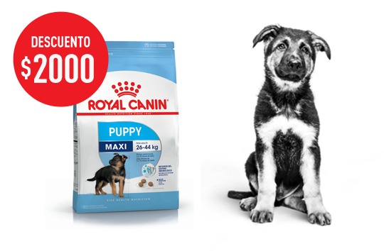 Imagen promoción Maxi Puppy