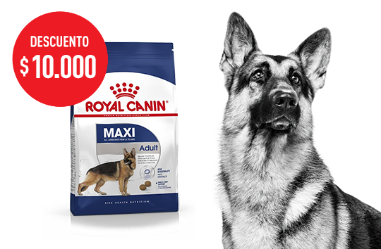 Maxi Adult 15 kg | Mi Royal Canin