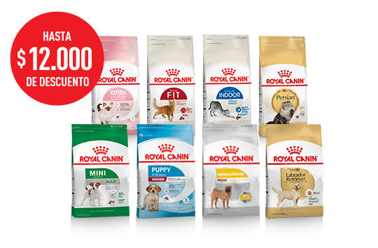 Imagen promoción Huellas de Verano &amp;quot;COPIA&amp;quot;