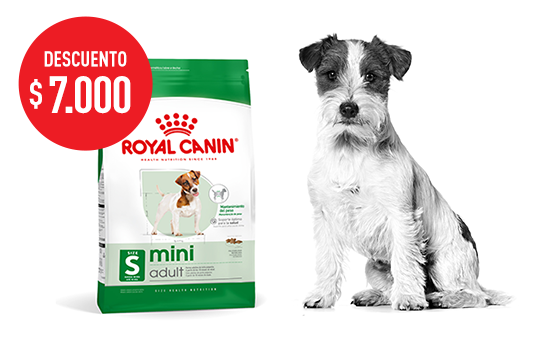 Imagen promoción Mini Adult 7,5kg