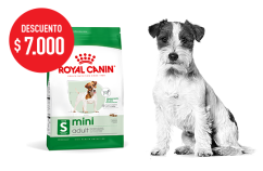 Imagen promoción Mini Adult 7,5kg 