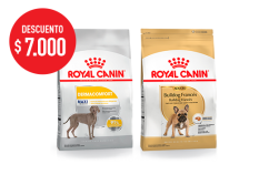 Imagen promoción Maxi Dermacomfort &amp;amp; French Bulldog Adulto