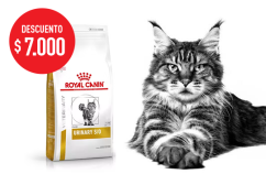 Imagen promoción Urinary Feline