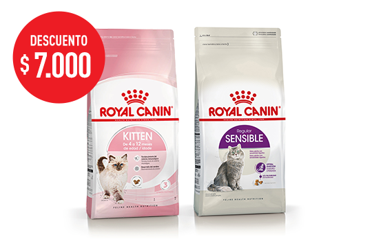 Imagen promoción Kitten &amp;amp; Regular sensible