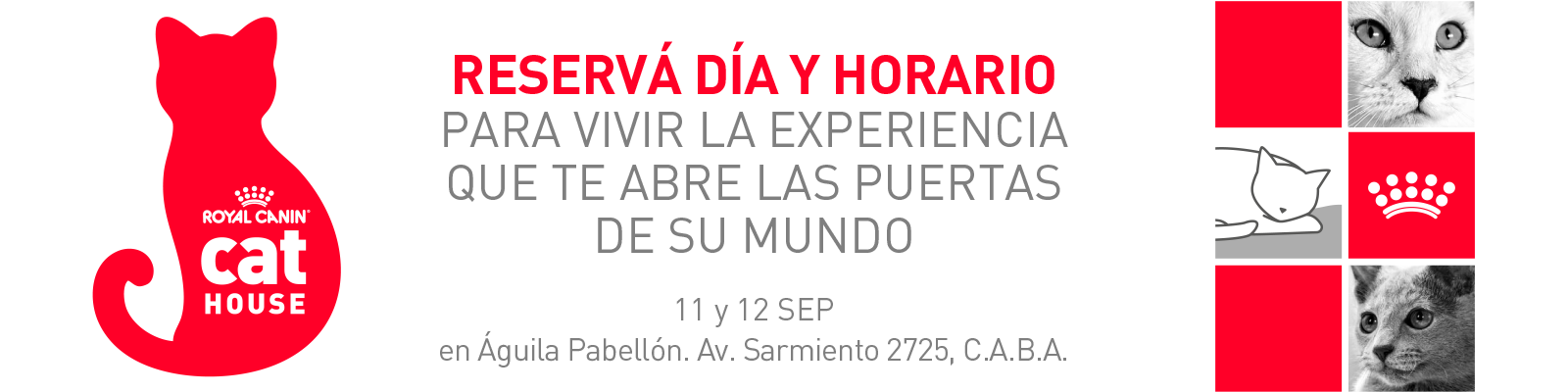 Royal Canin Cat House. Reservá día y horario para vivir la experiencia, 11 y 12 de septiembre en Águila Pabellón, Av. Sarmiento 2725, CABA.