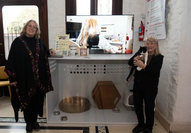 Fundación de Gatitos en Cat House