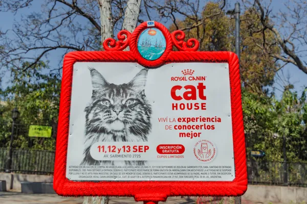Cat House · Foto 1