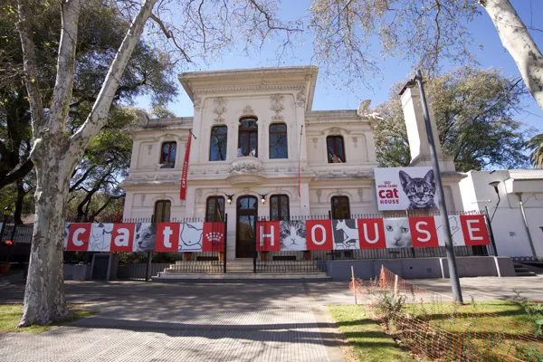 Cat House · Foto 2