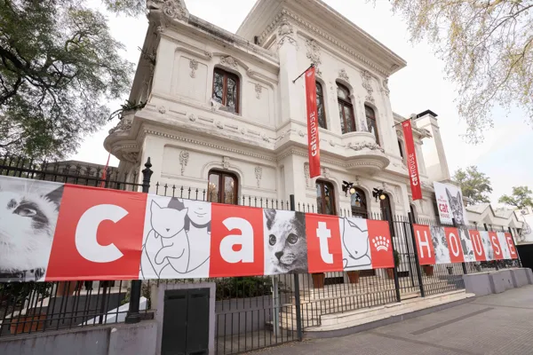 Cat House · Foto 3
