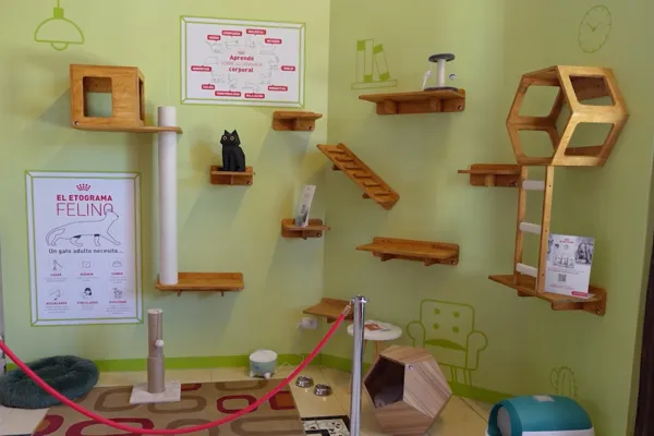 Cat House · Foto 32
