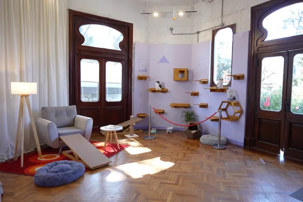 Cat House · Foto 35