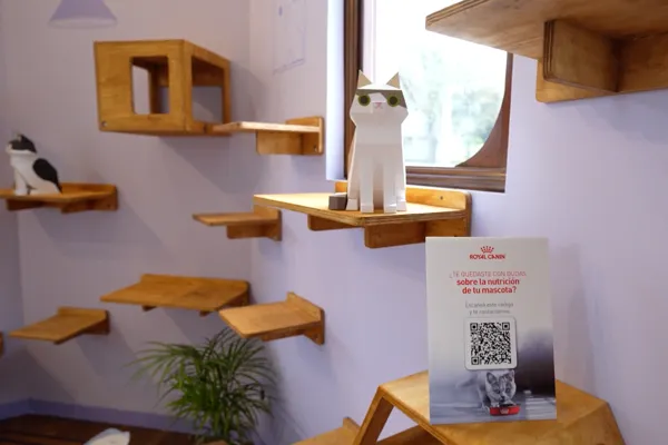 Cat House · Foto 36