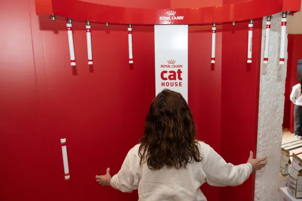 Cat House · Foto 38