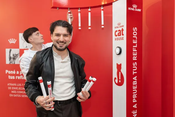 Cat House · Foto 40
