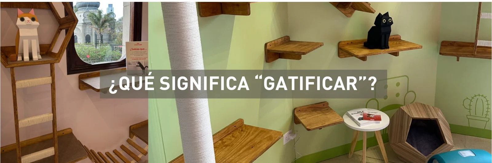 ¿Qué significa ‘gatificar’? Espacios pensados para las necesidades de los gatos.