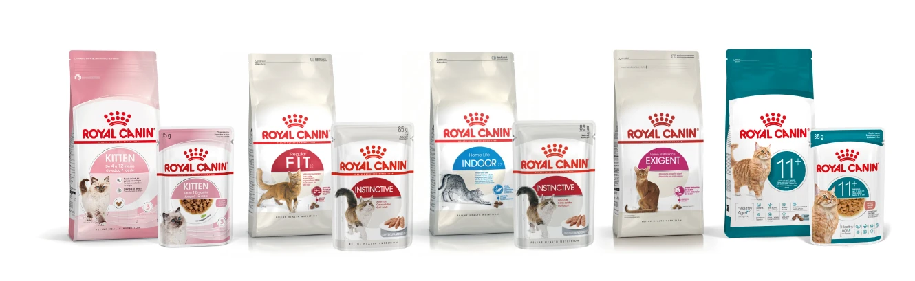 Nutrición Royal Canin para las necesidades de cada gato.